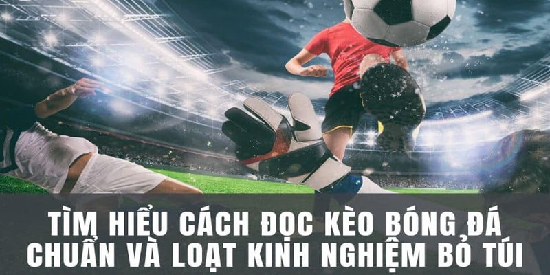 Đọc Kèo Bóng Đá