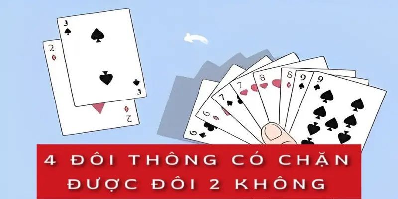 Review chi tiết vấn đề bốn đôi thông chặt được gì?