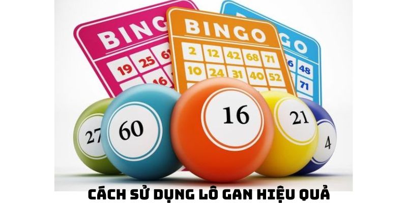 Cách sử dụng lô gan hiệu quả